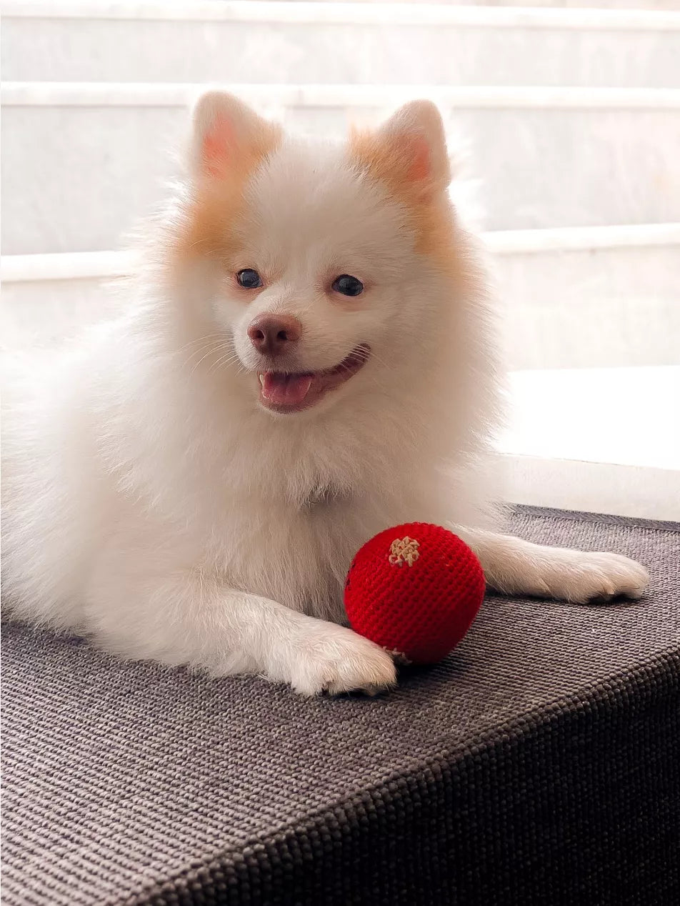 ST.PIA Polka-Dot Dog And Cat Ball